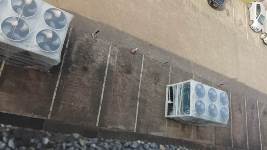 UN CLIC POUR AGRANDIR